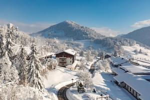 Apartment and Chalet  Apartment and Chalet