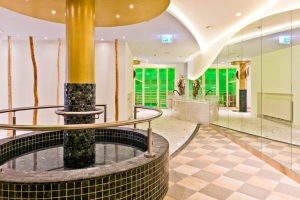 Spa and Wellness  Spa and Wellness