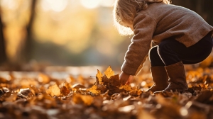 Miscellaneous|undefined  Miscellaneous|undefined